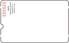 Blanks SkiData/TK450